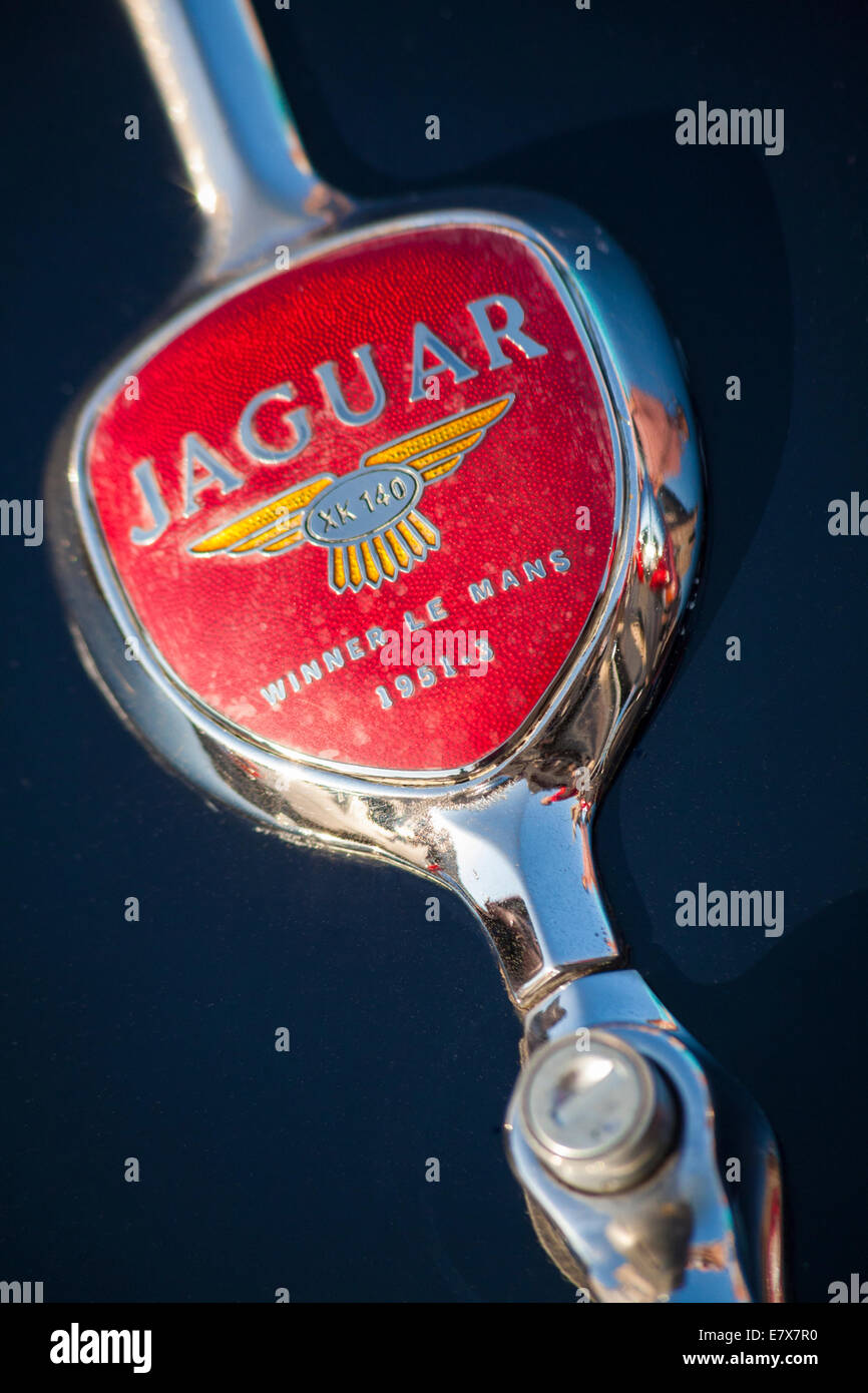 Jaguar XK 140 vincitore di Le Mans 1951-3 - dettaglio delle auto parcheggiate in Piazza del Mercato, Cracovia in Polonia nel mese di settembre Foto Stock