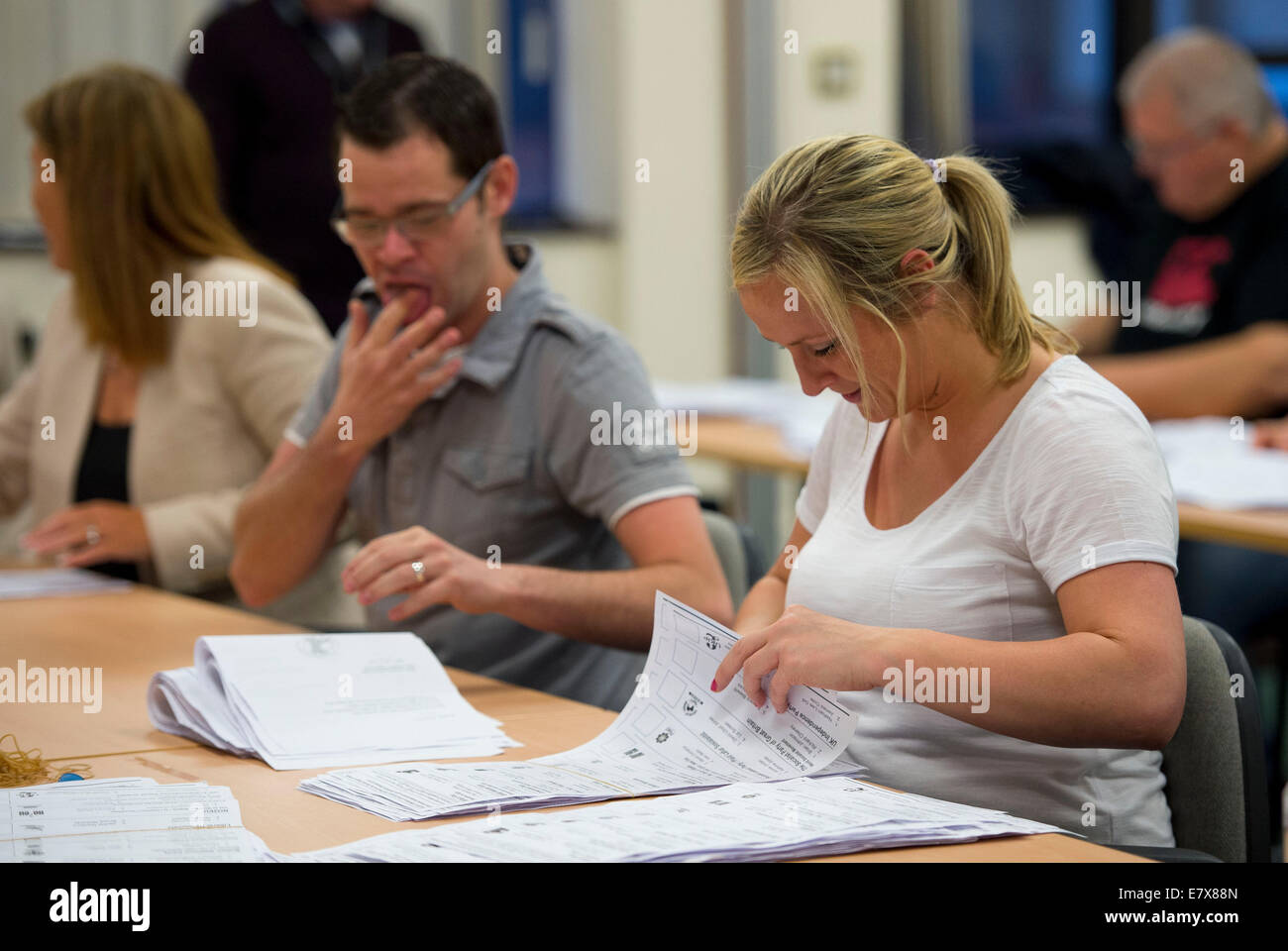 Scrutinio dei voti della carta vengono contate da contatori di voto durante le elezioni europee a Merthyr Tydfil. Foto Stock