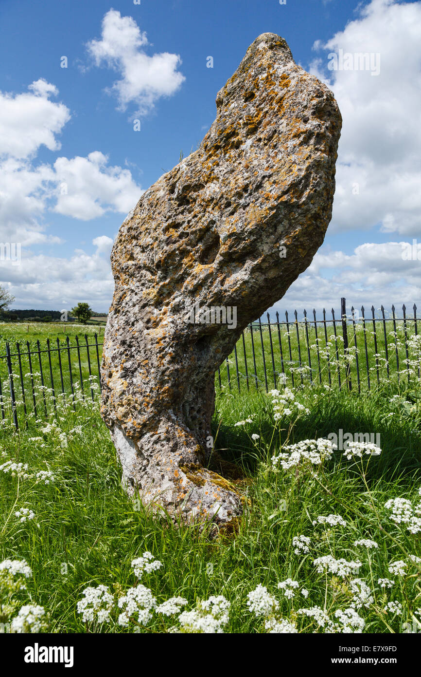 Il Re di Pietra, Rollright Stones, vicino a Long Compton, Oxfordshire Foto Stock