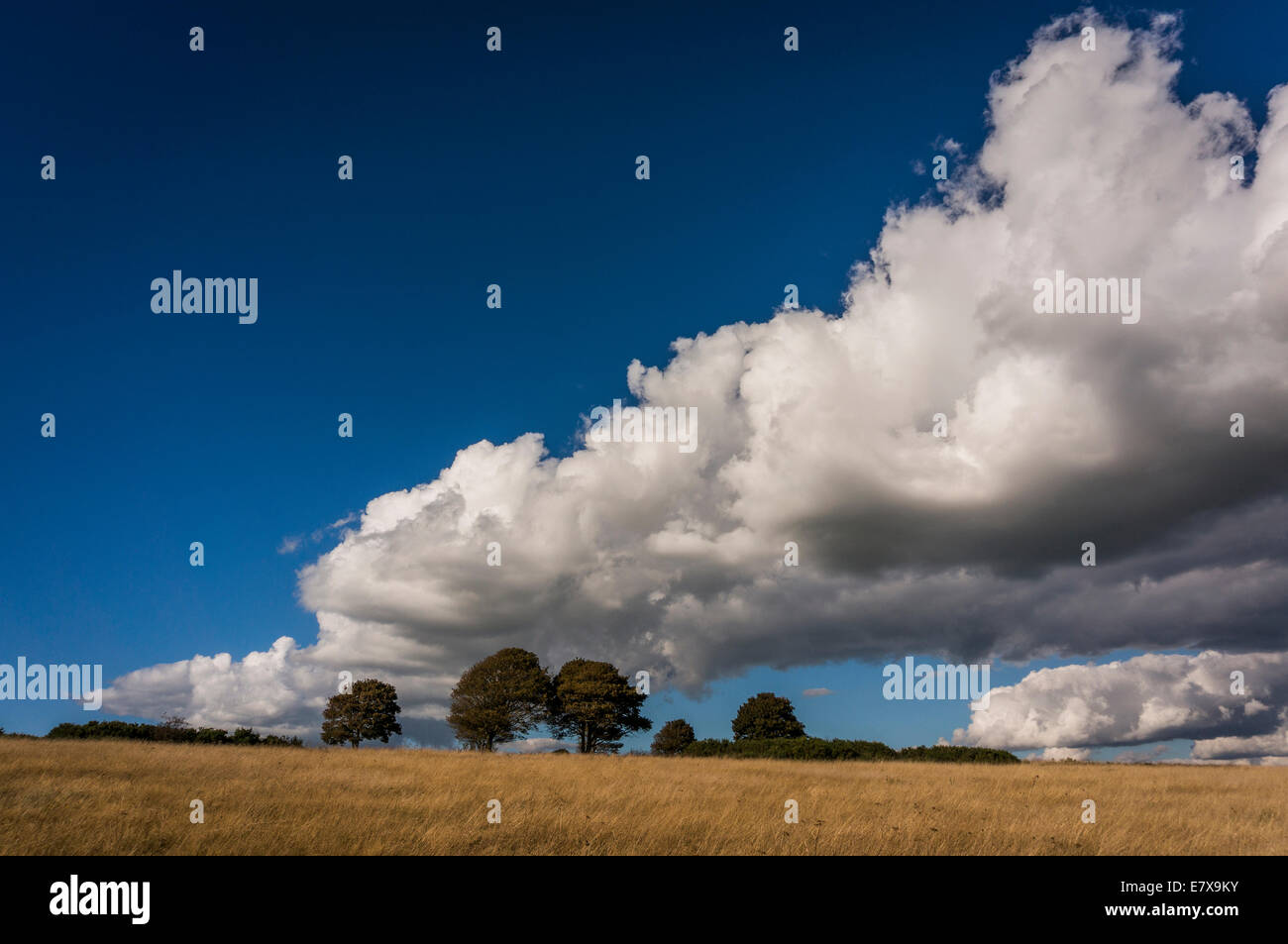 Cloud drammatico-scape su anelli Cissbury, Worthing, West Sussex, Regno Unito Foto Stock