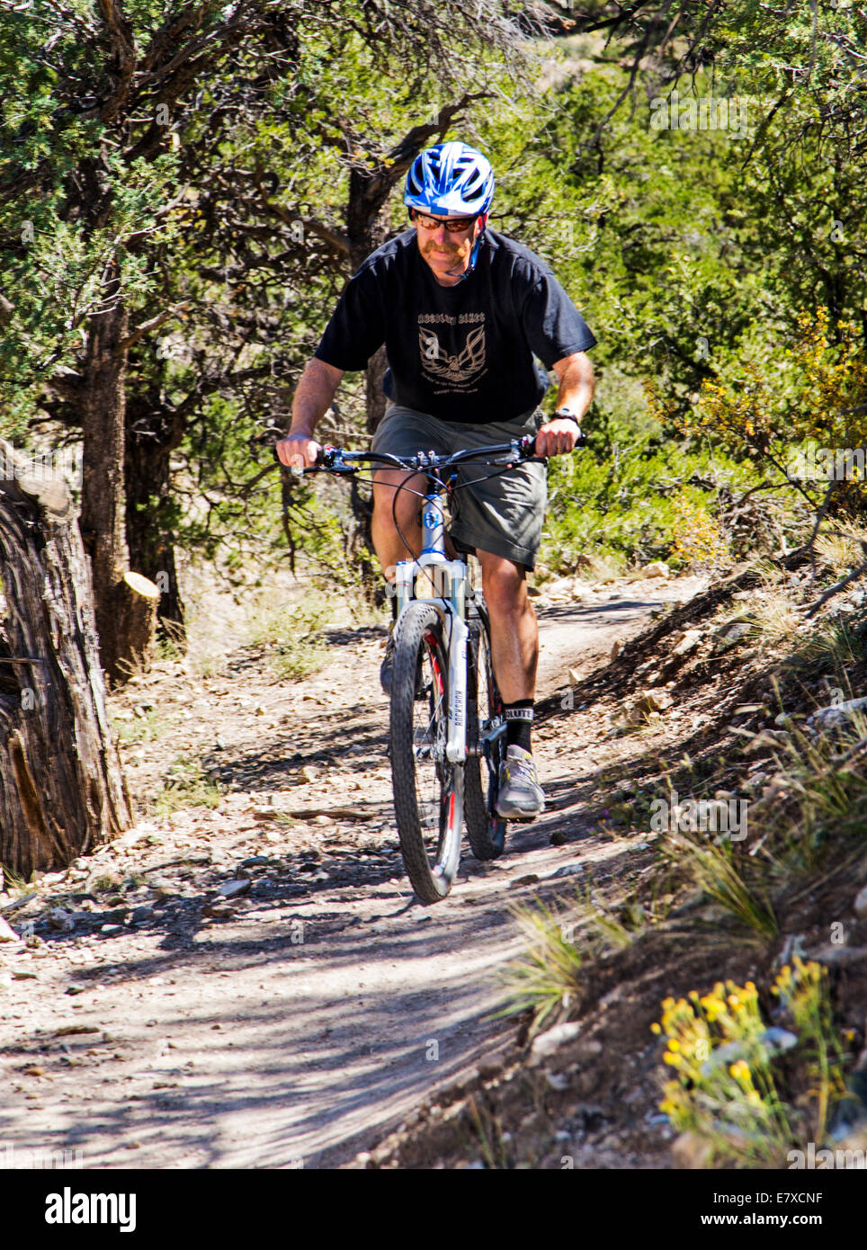 L'uomo mountain bike sul Po Rainbow Trail, Salida, Colorado, STATI UNITI D'AMERICA Foto Stock