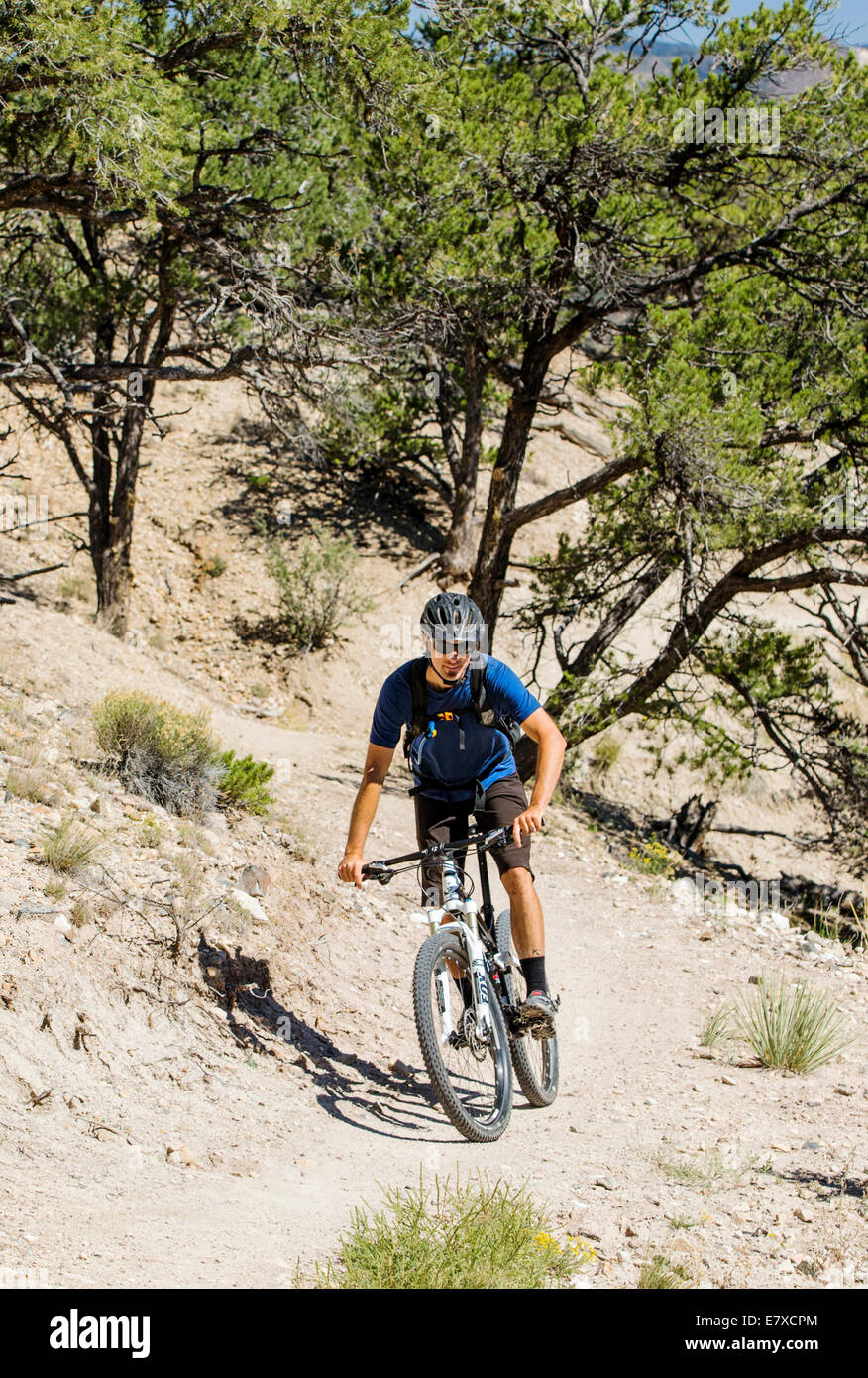 L'uomo mountain bike sul Po Rainbow Trail, Salida, Colorado, STATI UNITI D'AMERICA Foto Stock