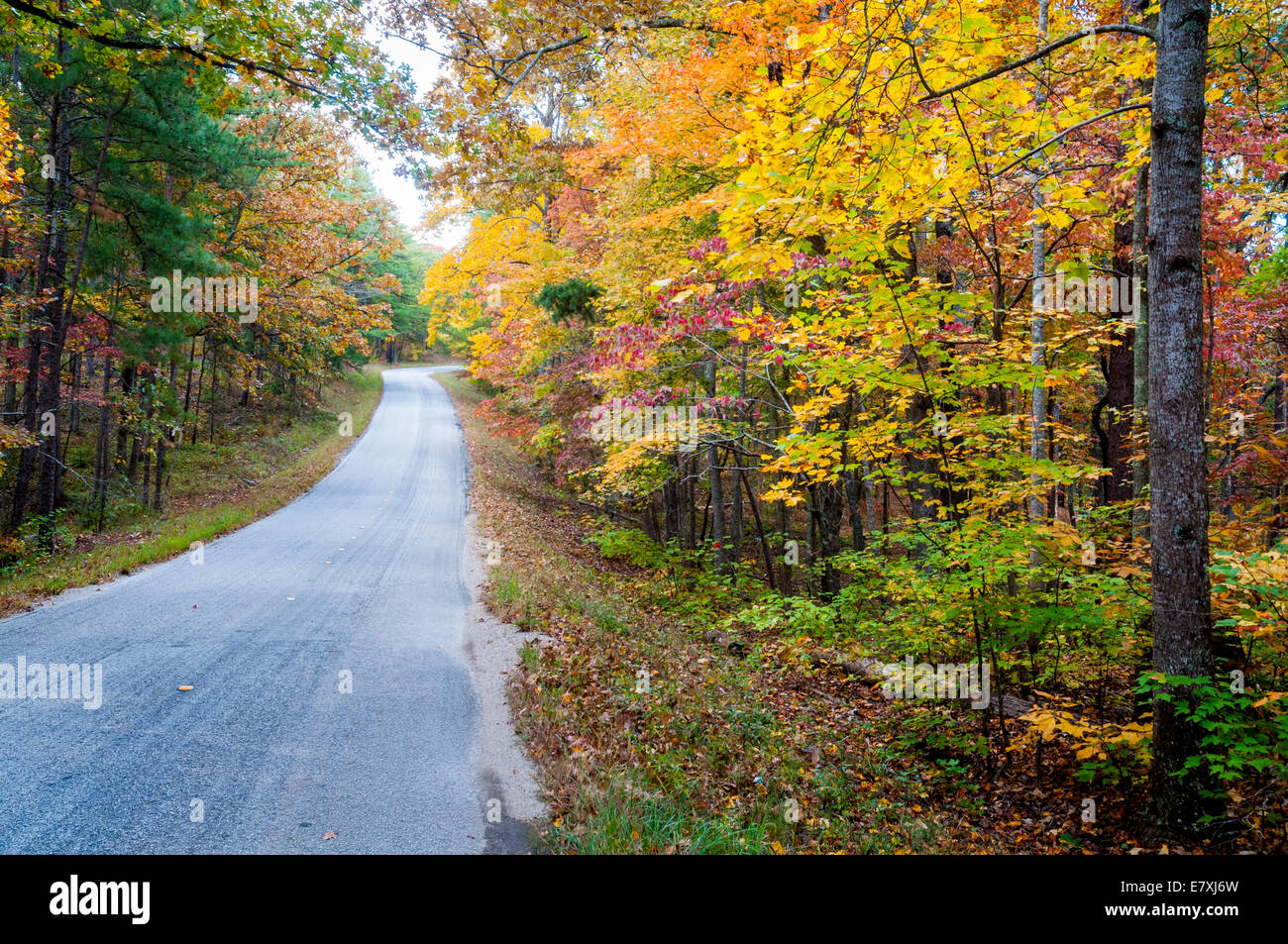 Strada in Talladega National Forest in autunno Foto Stock