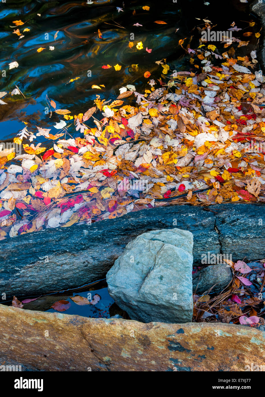 Autunno scena con acqua, rocce e foglie di Talladega National Forest in Alabama, STATI UNITI D'AMERICA Foto Stock