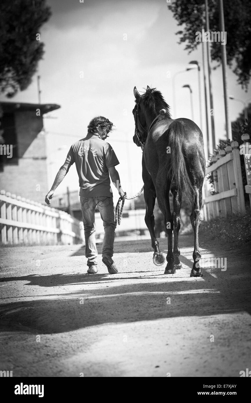 Jockey aziona cavallo lungo la via la preparazione per la gara numero uno Foto Stock