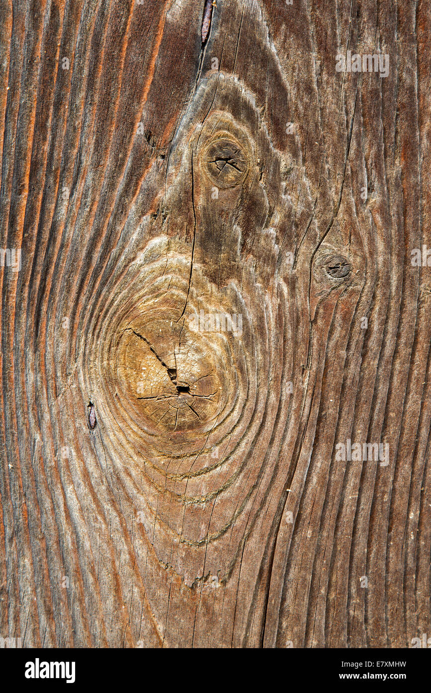 Dettaglio del legno vecchio - sfondo Foto Stock