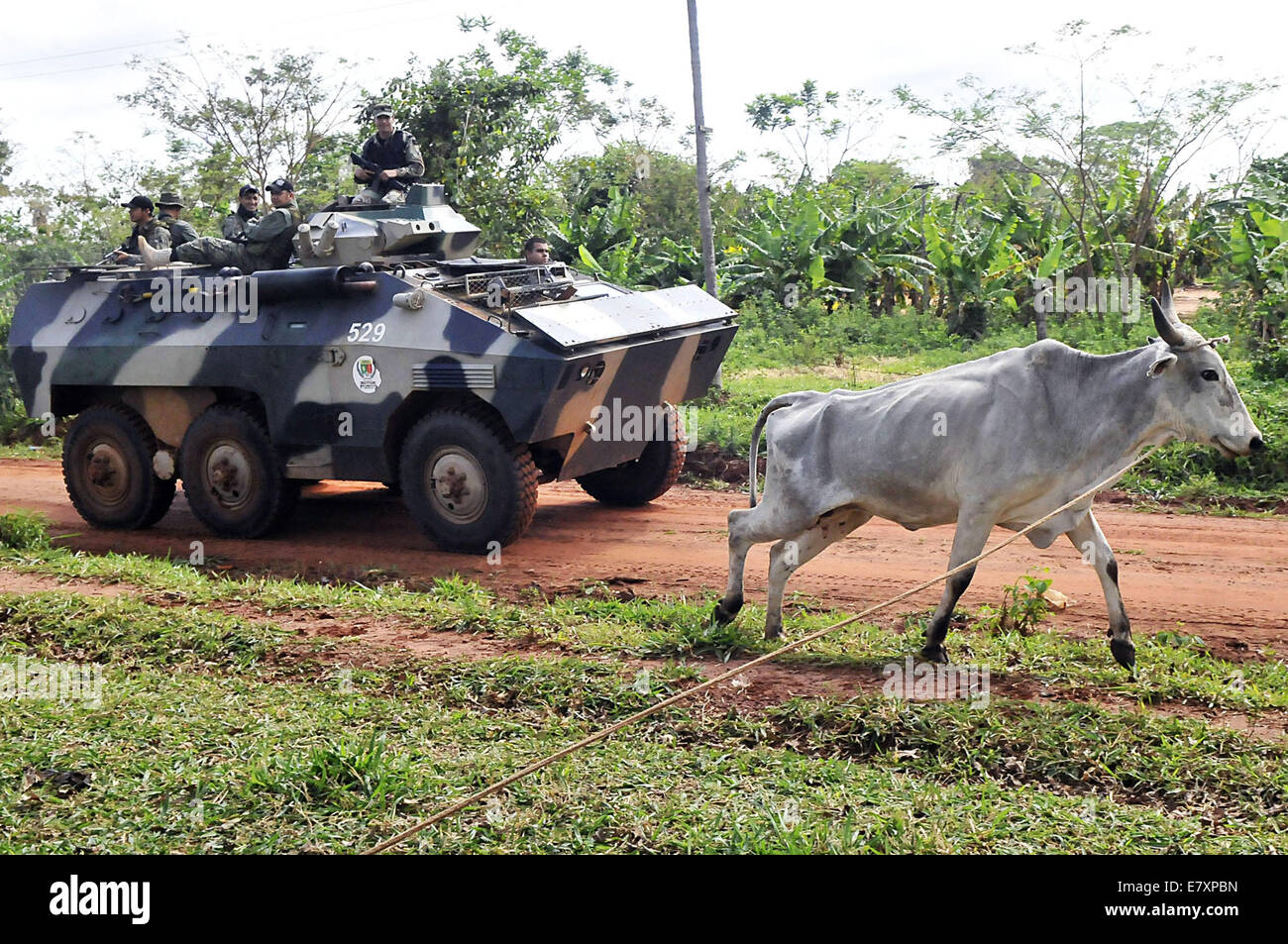 Concepcion, Paraguay. Xxv Sep, 2014. Membri della Joint Task Force patrol durante un intervento sulla montagna Horqueta in Concepcion Reparto, Paraguay, Sett. 25, 2014. Il funzionamento è stato tenuto per la ricerca di membri del popolo paraguaiano esercito e il contadino armato gruppo, considerato dal governo del Paraguay come altamente pericolosi gruppi. Credito: Davor Paredes/Xinhua/Alamy Live News Foto Stock