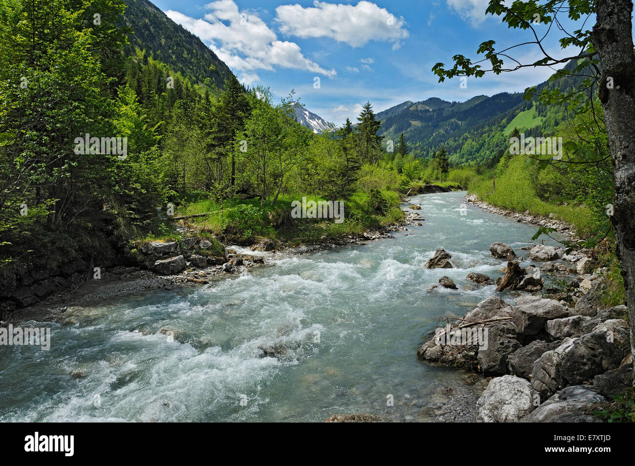 Torrent, affluente dell'Ostrach fiume vicino a Hinterstein, Algovia, Baviera, Germania Foto Stock