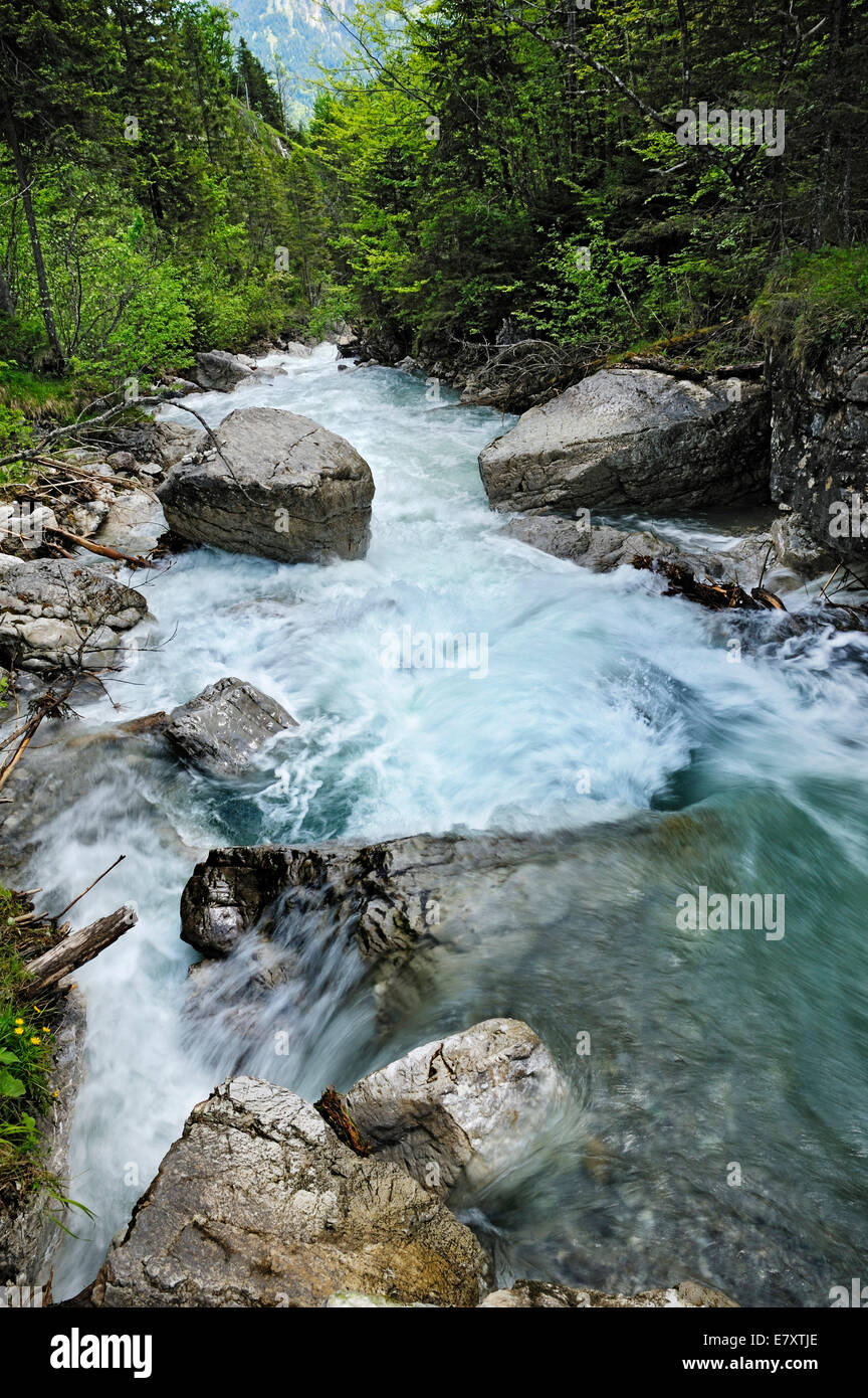 Torrent, affluente dell'Ostrach fiume vicino a Hinterstein, Algovia, Baviera, Germania Foto Stock