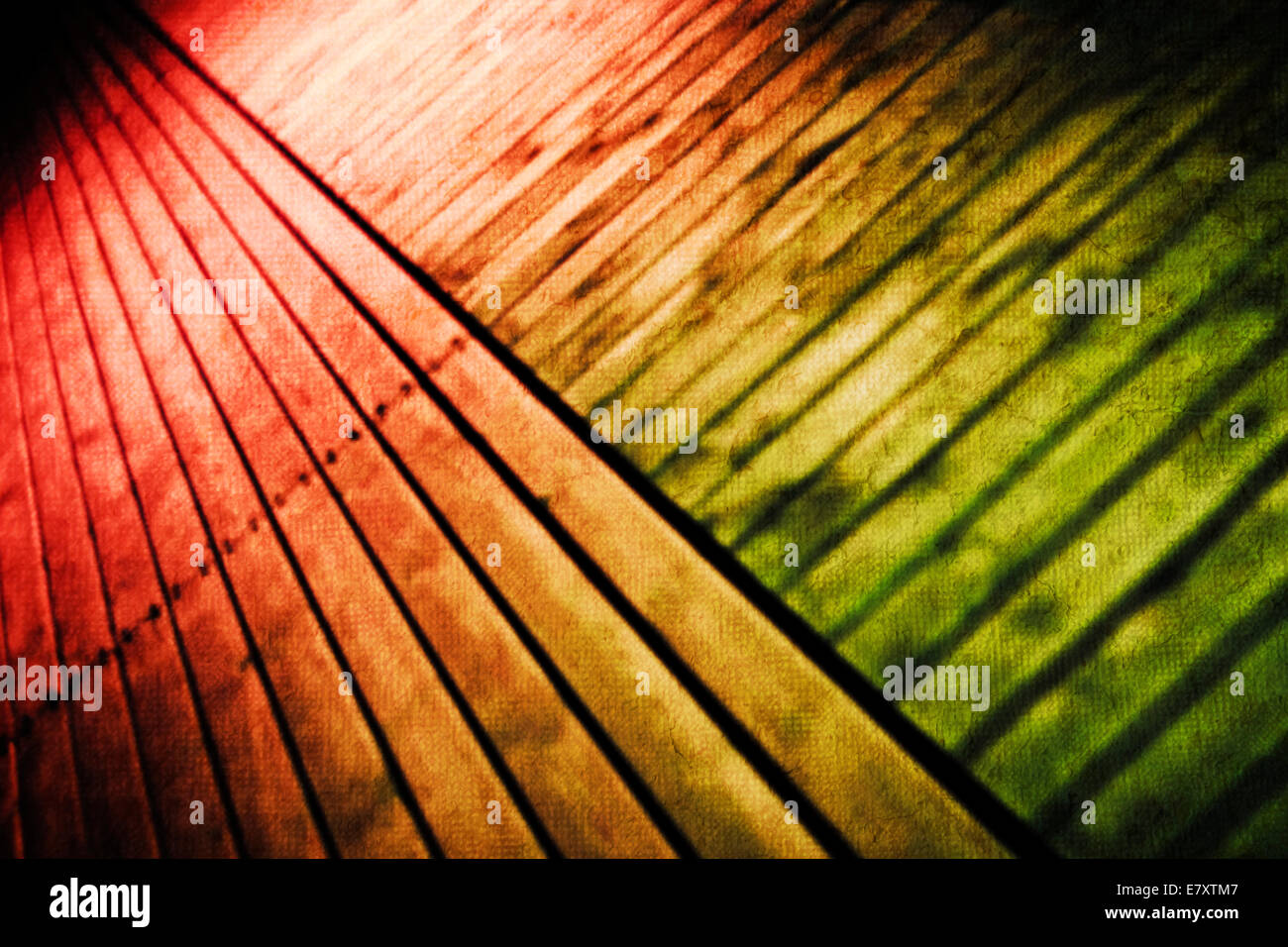 Abstract background - pavimento in legno Foto Stock