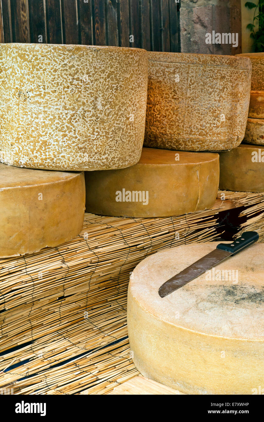 Francese chesse duro sul display in un mercato degli agricoltori in Riquewihr Francia Foto Stock