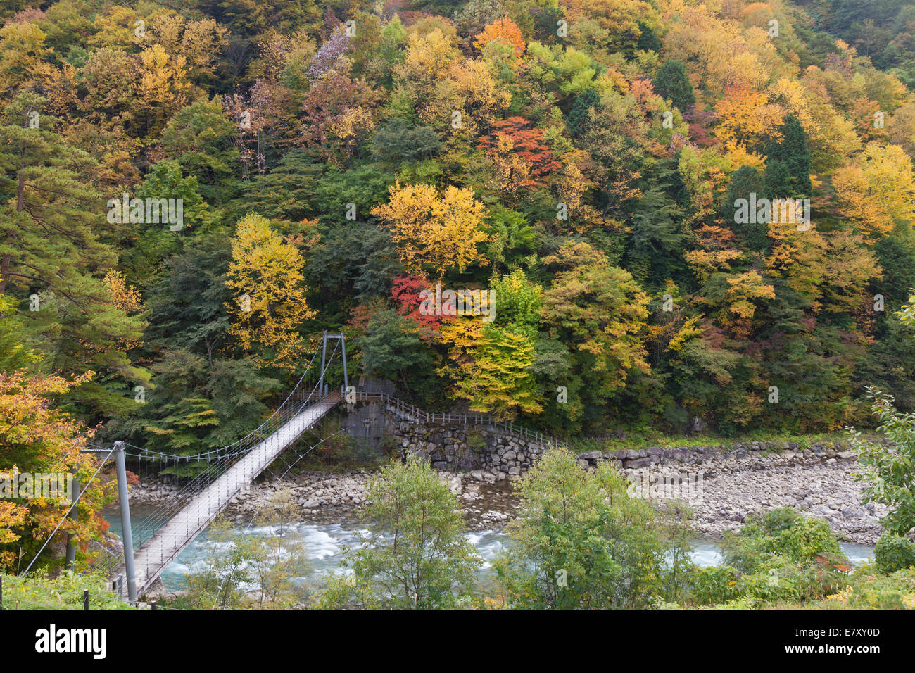 Prefettura di Nagano, Giappone Foto Stock