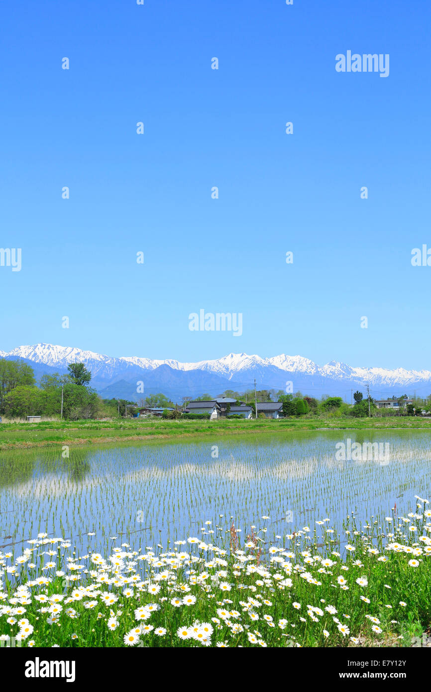 Prefettura di Nagano, Giappone Foto Stock