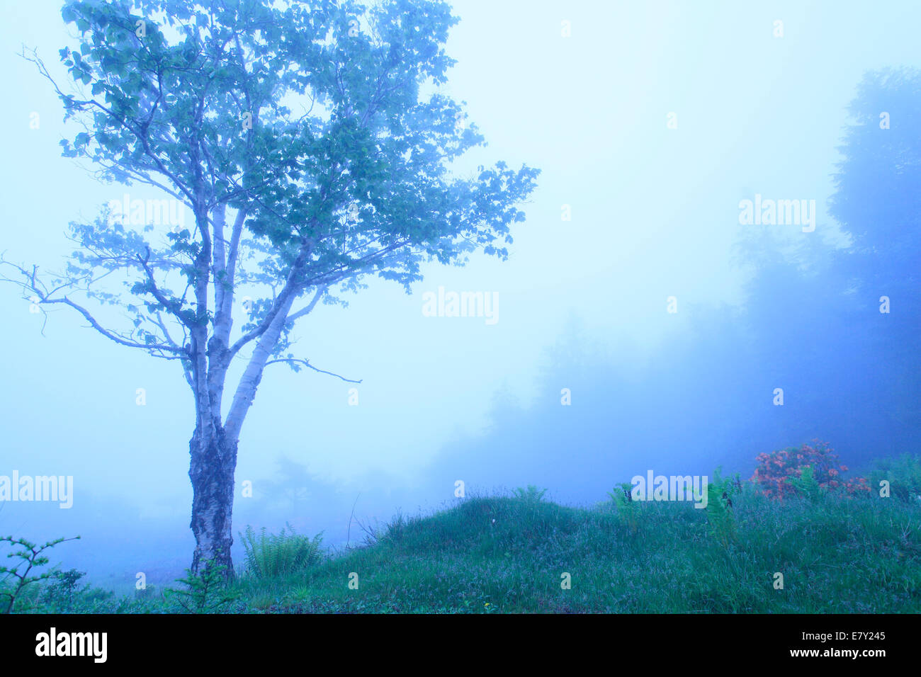 Prefettura di Nagano, Giappone Foto Stock