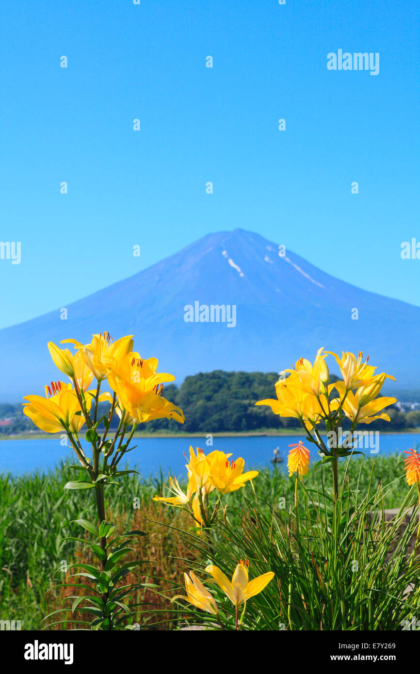 Fuji cinque laghi, Prefettura di Yamanashi, Giappone Foto Stock