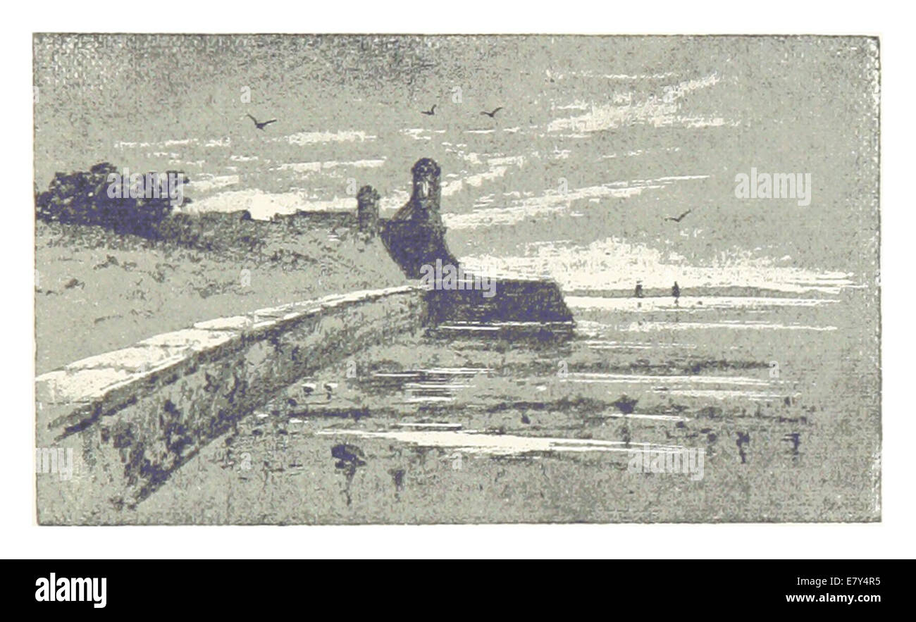 Questa illustrazione del 1889 mostra il Sea-wall di St. Augustine, Florida, sottolineando il suo ruolo nella protezione dell'area costiera dall'erosione e dalle forze mareali. Il design e la costruzione riflettono le tecniche ingegneristiche del XIX secolo utilizzate per la fortificazione costiera. Foto Stock