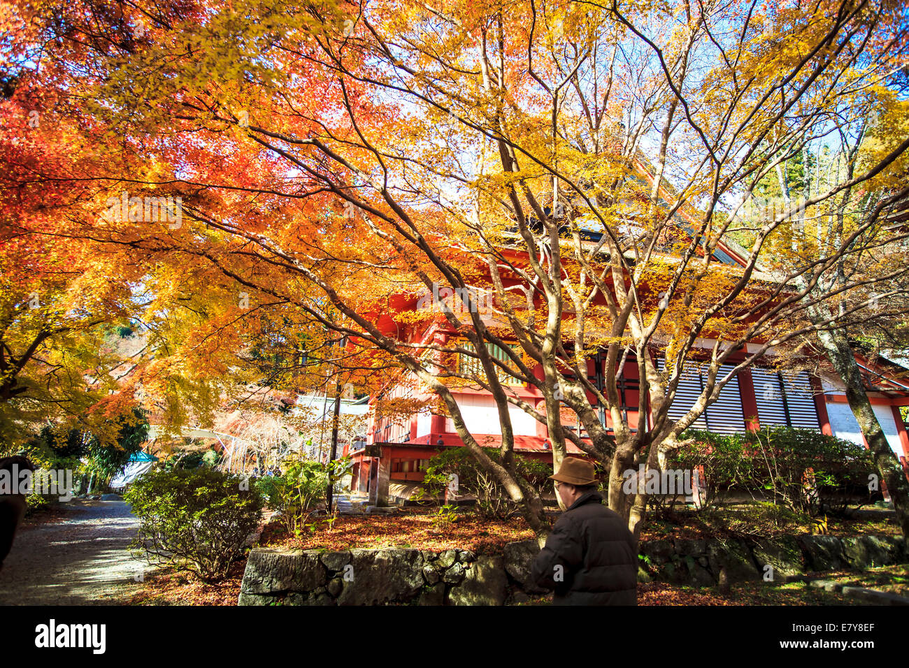 Kyoto, Giappone - Nov 27, 2013: Tanzan santuario anche conosciuta come il Santuario Danzan, Tonomine il santuario e il Tempio Tonomine è un Shi Foto Stock