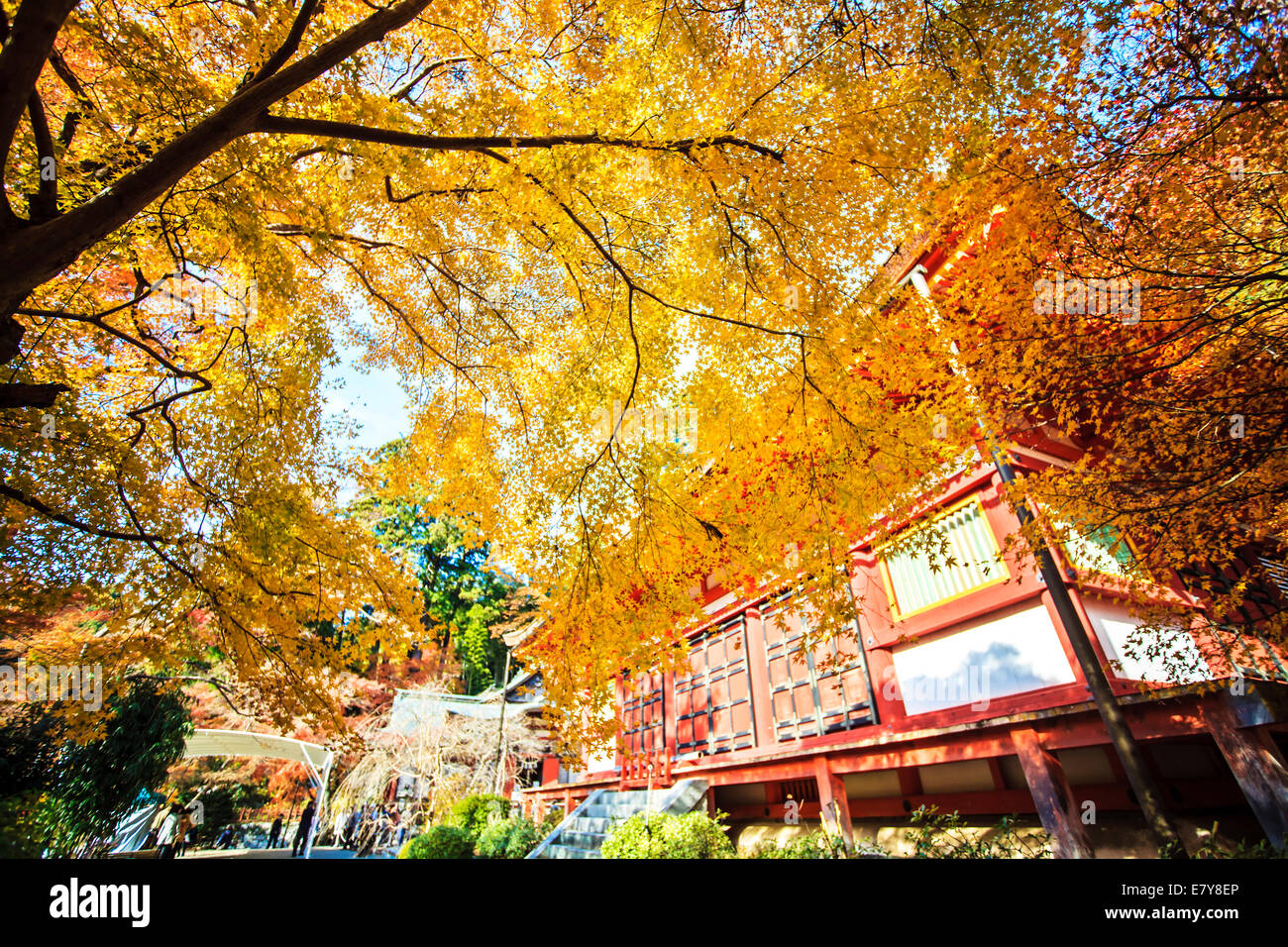 Kyoto, Giappone - Nov 27, 2013: Tanzan santuario anche conosciuta come il Santuario Danzan, Tonomine il santuario e il Tempio Tonomine è un Shi Foto Stock