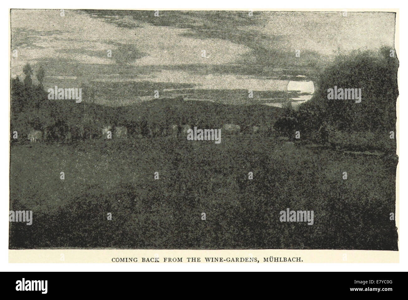 Un'illustrazione del 1893 di Pennell, intitolata "ritorno dai giardini del vino", che mostra una scena di individui che ritornano da un vigneto. L'illustrazione enfatizza il paesaggio, gli individui e gli elementi culturali legati alla vinificazione alla fine del XIX secolo. Foto Stock