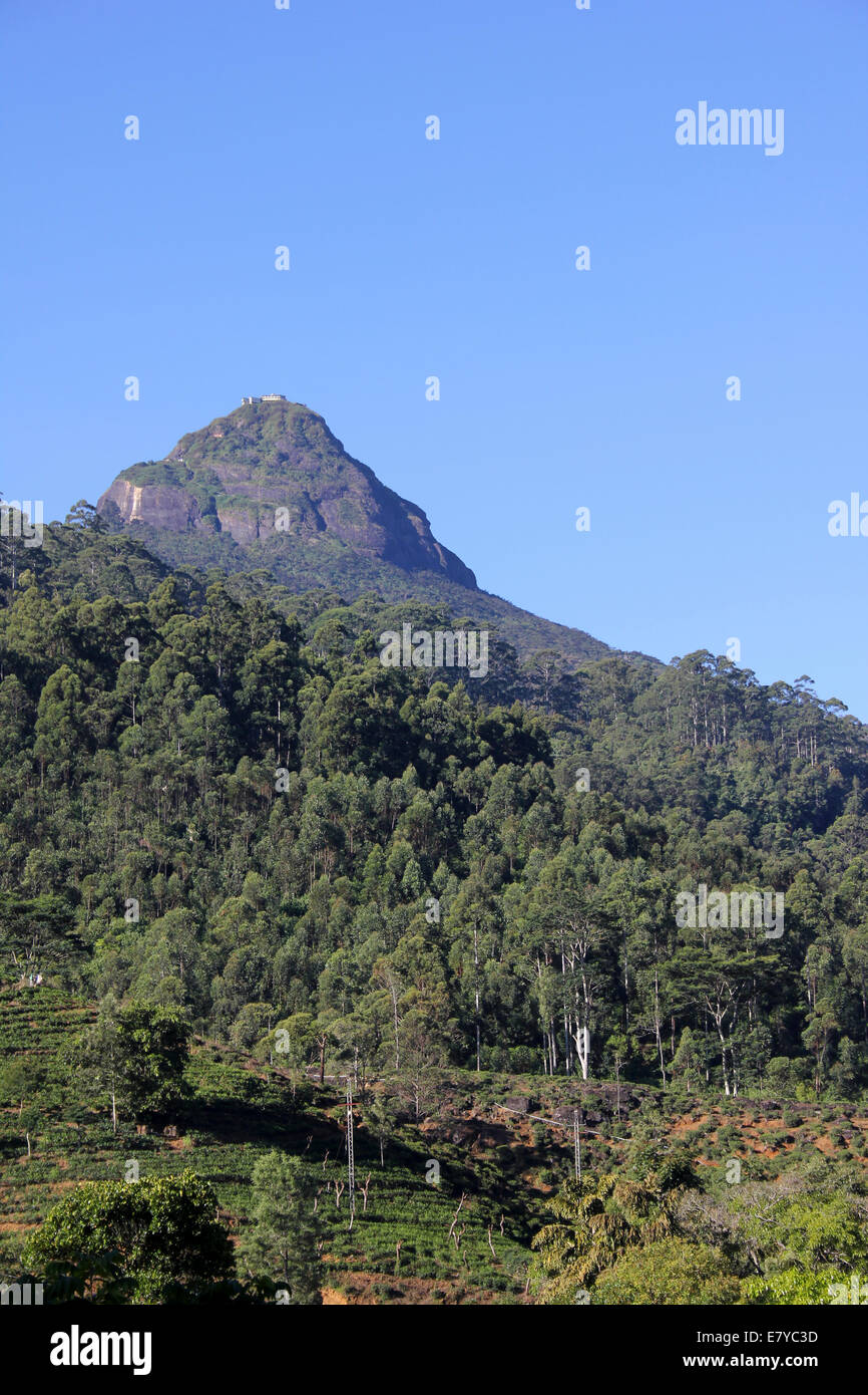 Adam's Peak, un importante luogo di pellegrinaggio per i buddisti e indù, musulmani e cristiani in Sri Lanka di altipiani centrali Foto Stock