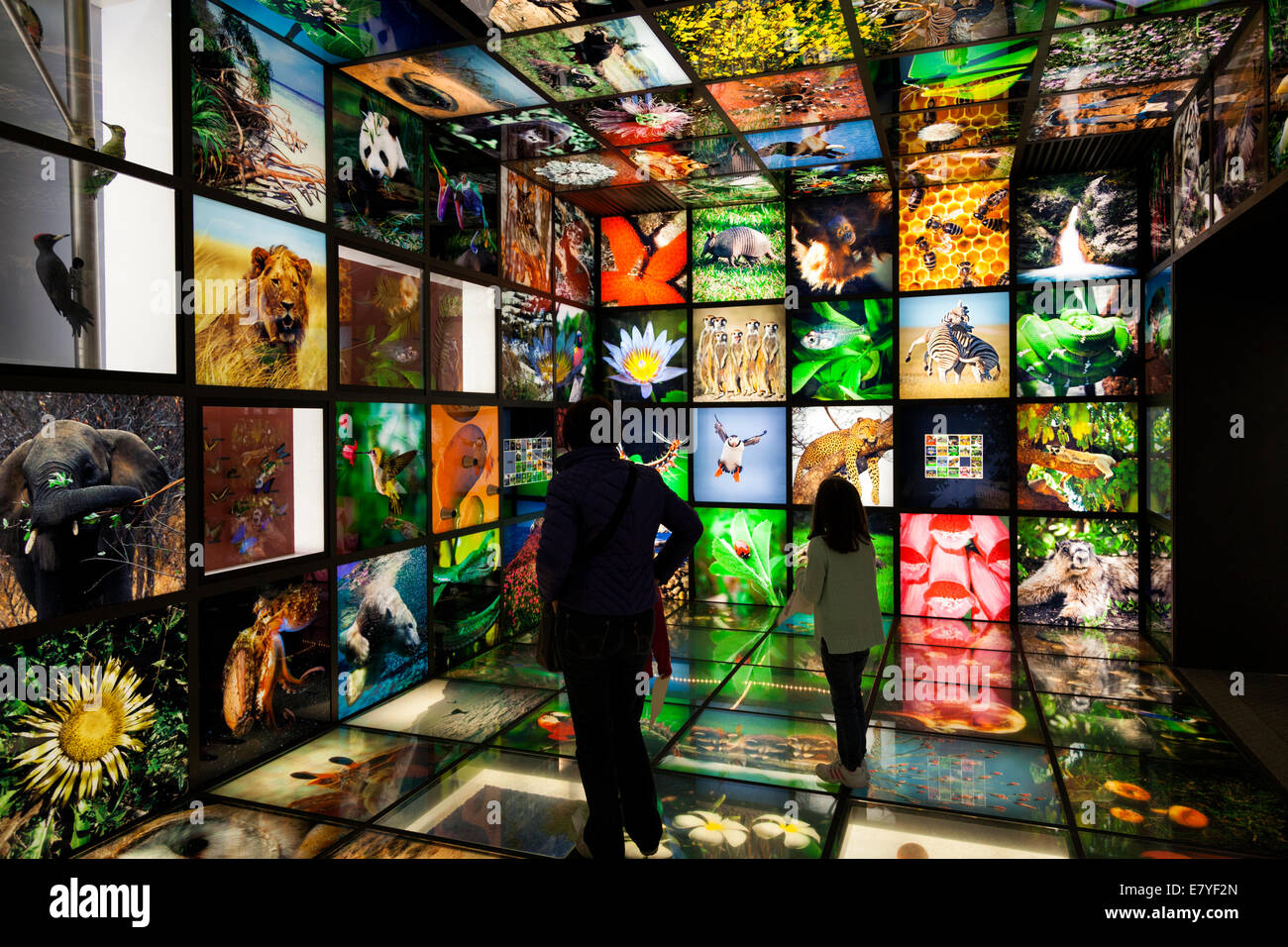 Le persone all'interno di una natura multimediale showroom Foto Stock