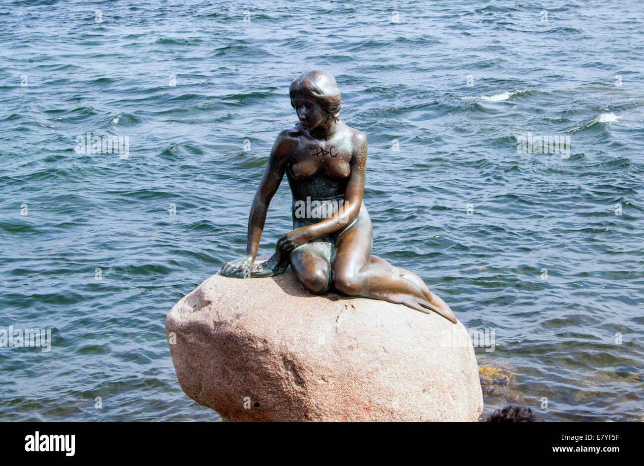 La statua della Sirenetta di Copenaghen onora l'amata storia di Hans Christian Andersen, arroccata graziosamente su una roccia del porto dal 1913. Foto Stock