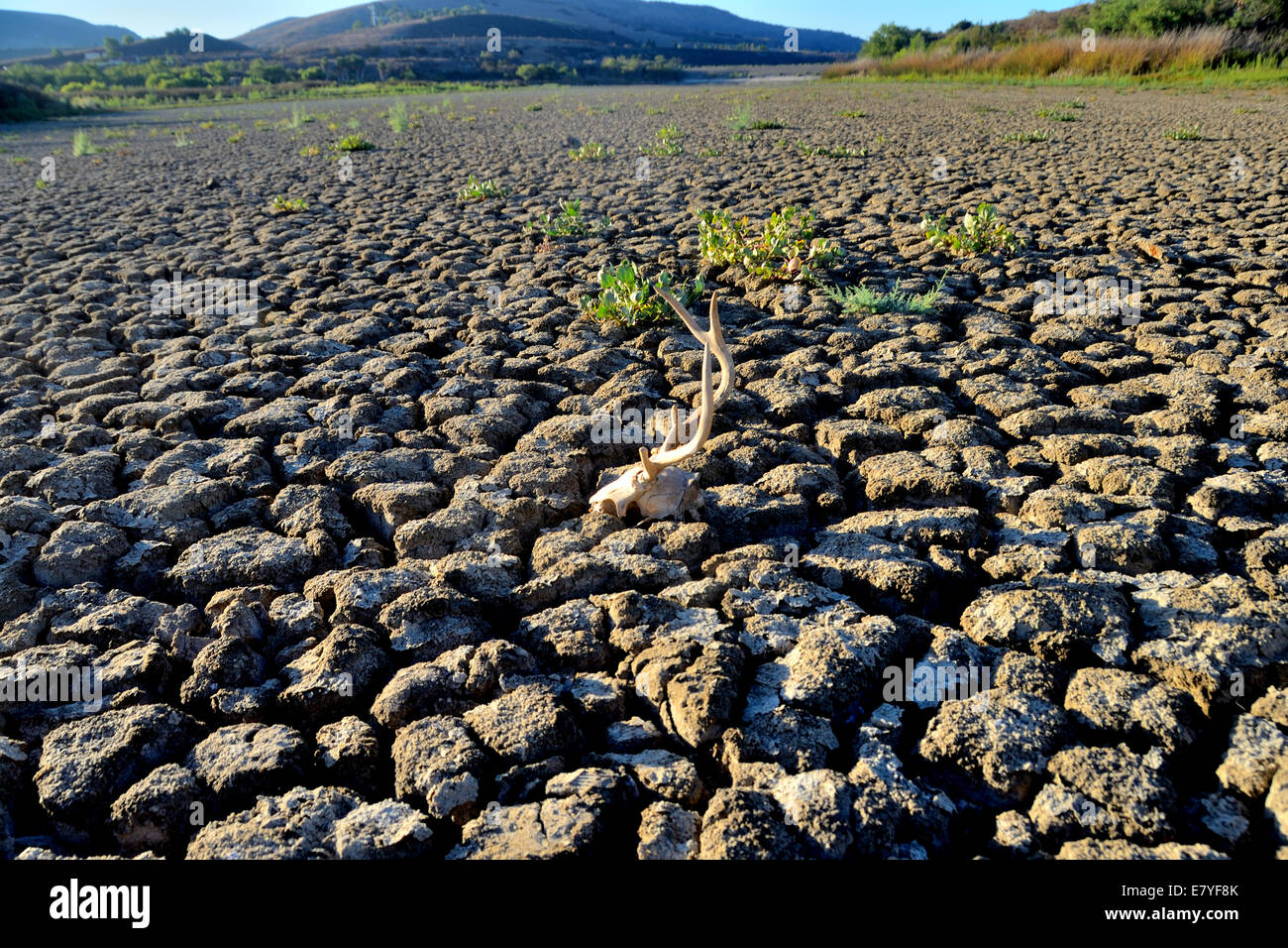 Asciutto terra arida dalla siccità in California Foto Stock