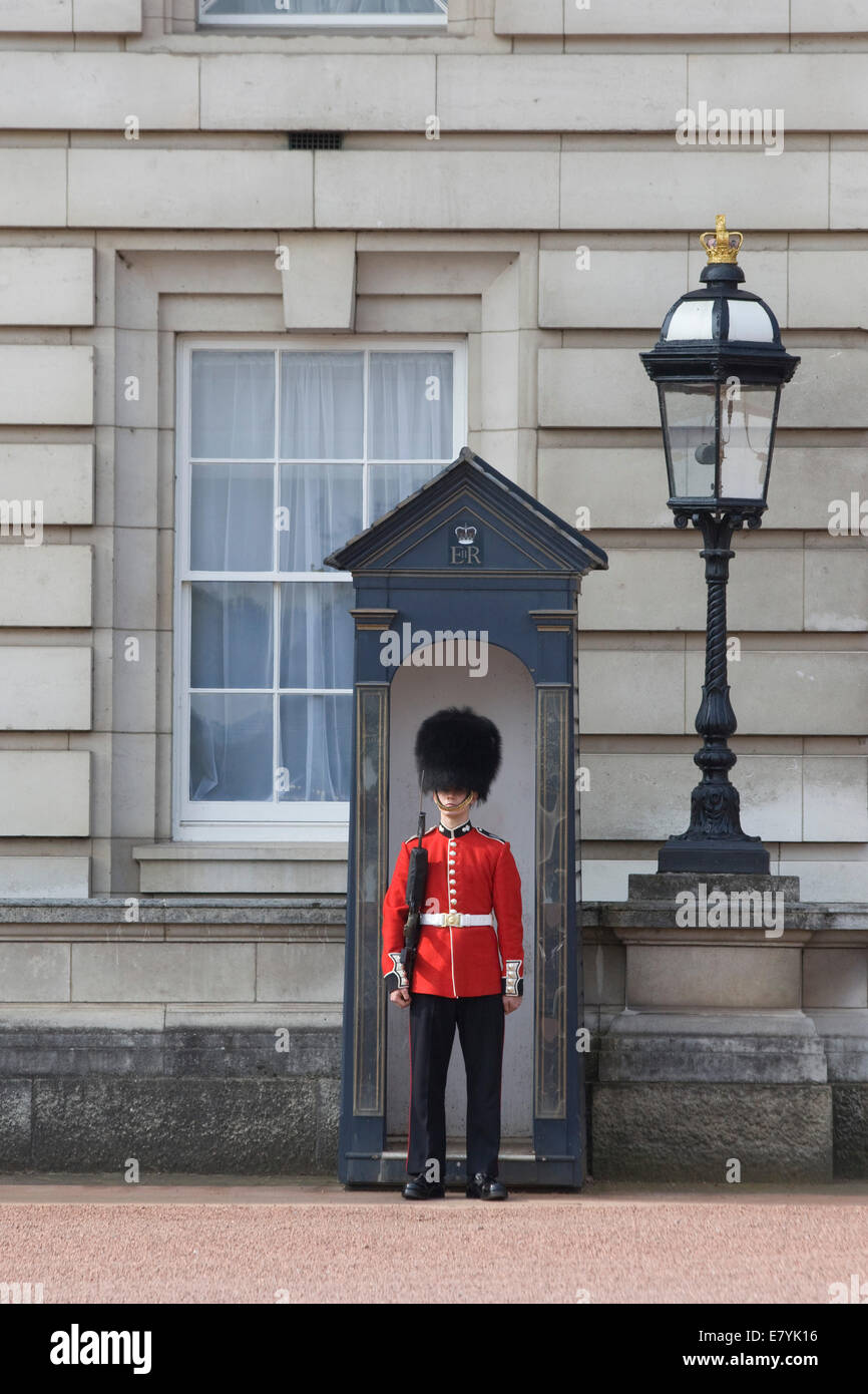 Guardie del palazzo fuori Buckingham Palace London Inghilterra England Foto Stock