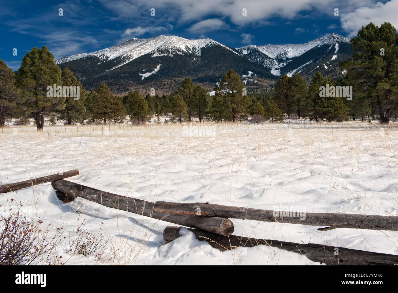 Un pieno di neve prato conduce il modo montare Humphries, che è il punto più in alto in Arizona. Foto Stock