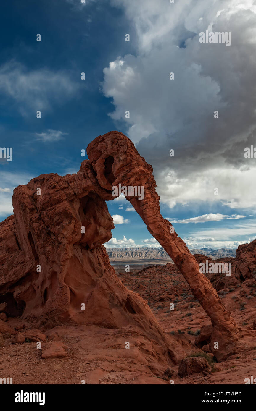 Una formazione di arco noto come Elephant Rock si trova nella Valle del Fuoco del parco statale, Nevada. Foto Stock