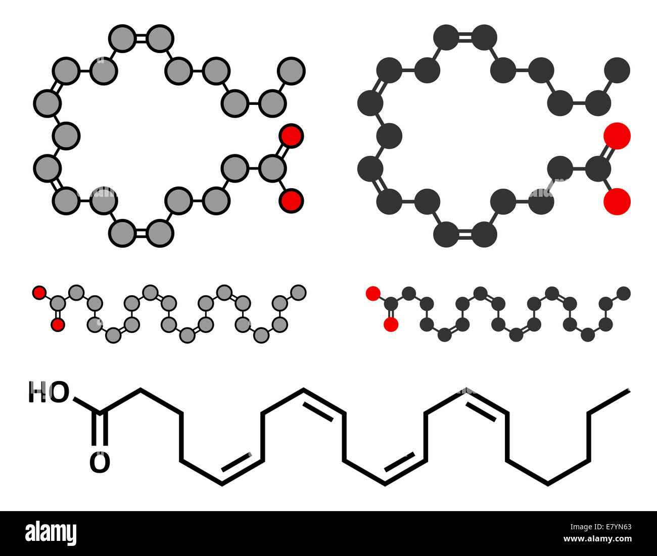 Acido arachidonico molecola. Polinsaturo Omega-6 acido grasso che è un precursore di prostaglandine, prostaciclina, trombossani, Foto Stock