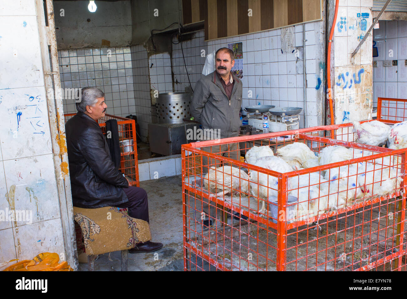 Negozio di pollo al bestiame bazaar di Sulaymaniyah (Slemani), Kurdistan iracheno provincia, Iraq. Foto Stock