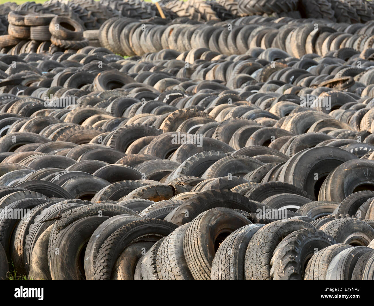Partita in deposito pieno di usurato e calvo usato auto, camion e i pneumatici del trattore pronto per il riciclaggio, Saskatchewan, Canada. Foto Stock