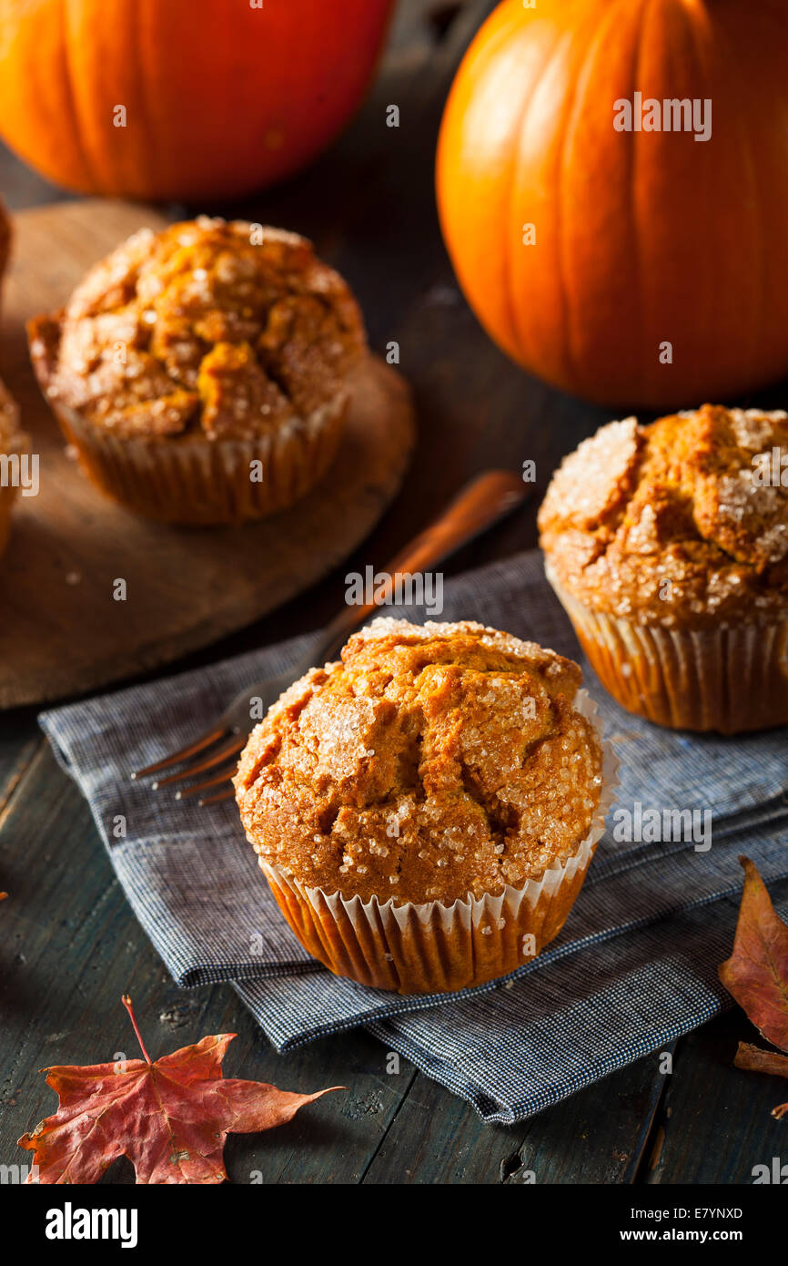 In casa autunno Muffin di zucca pronto a mangiare Foto Stock