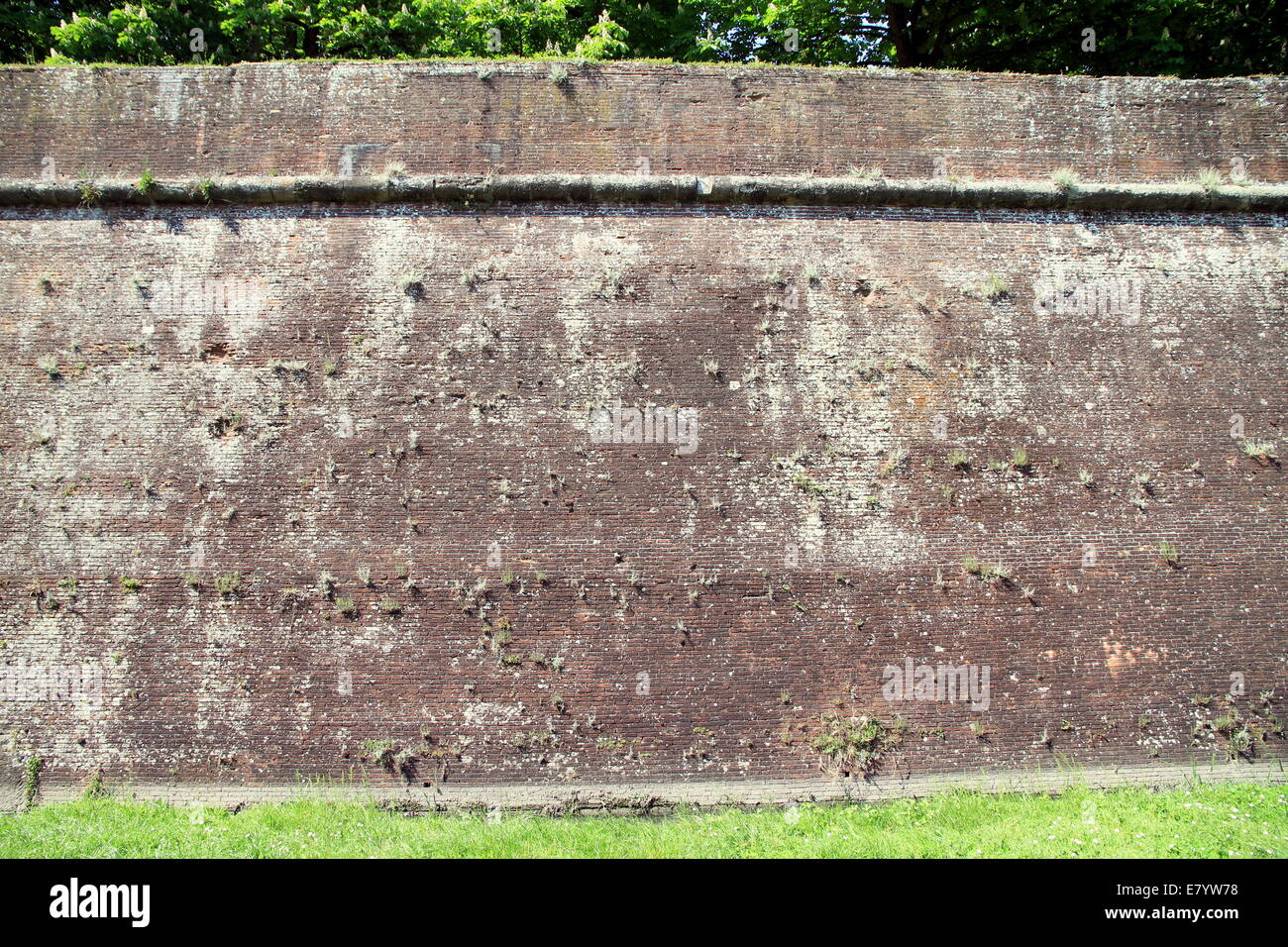 Mura medievali che circondano la città di Lucca, Italia Foto Stock