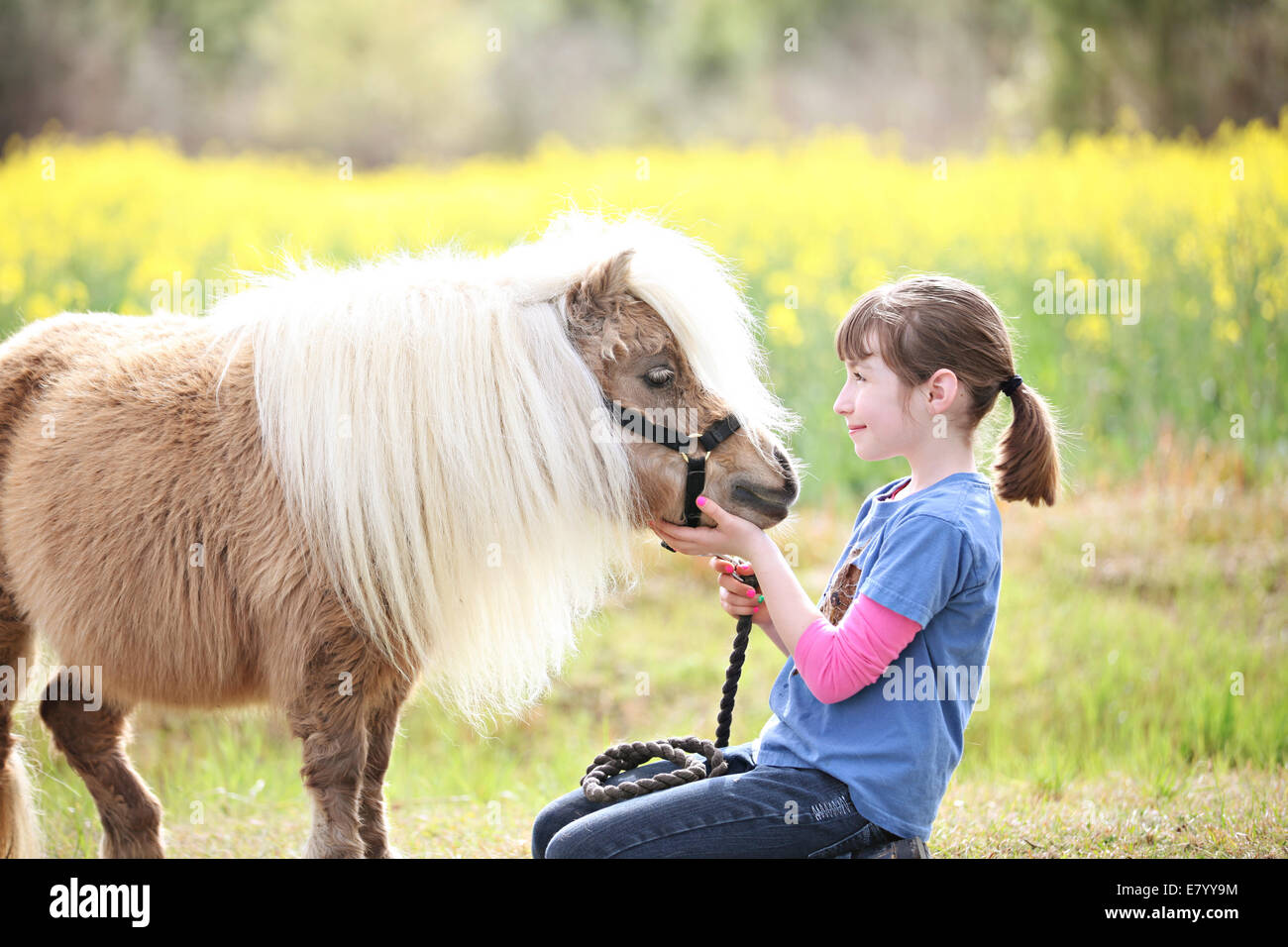 La ragazza (10-12) giocando con pony in Prato Foto Stock