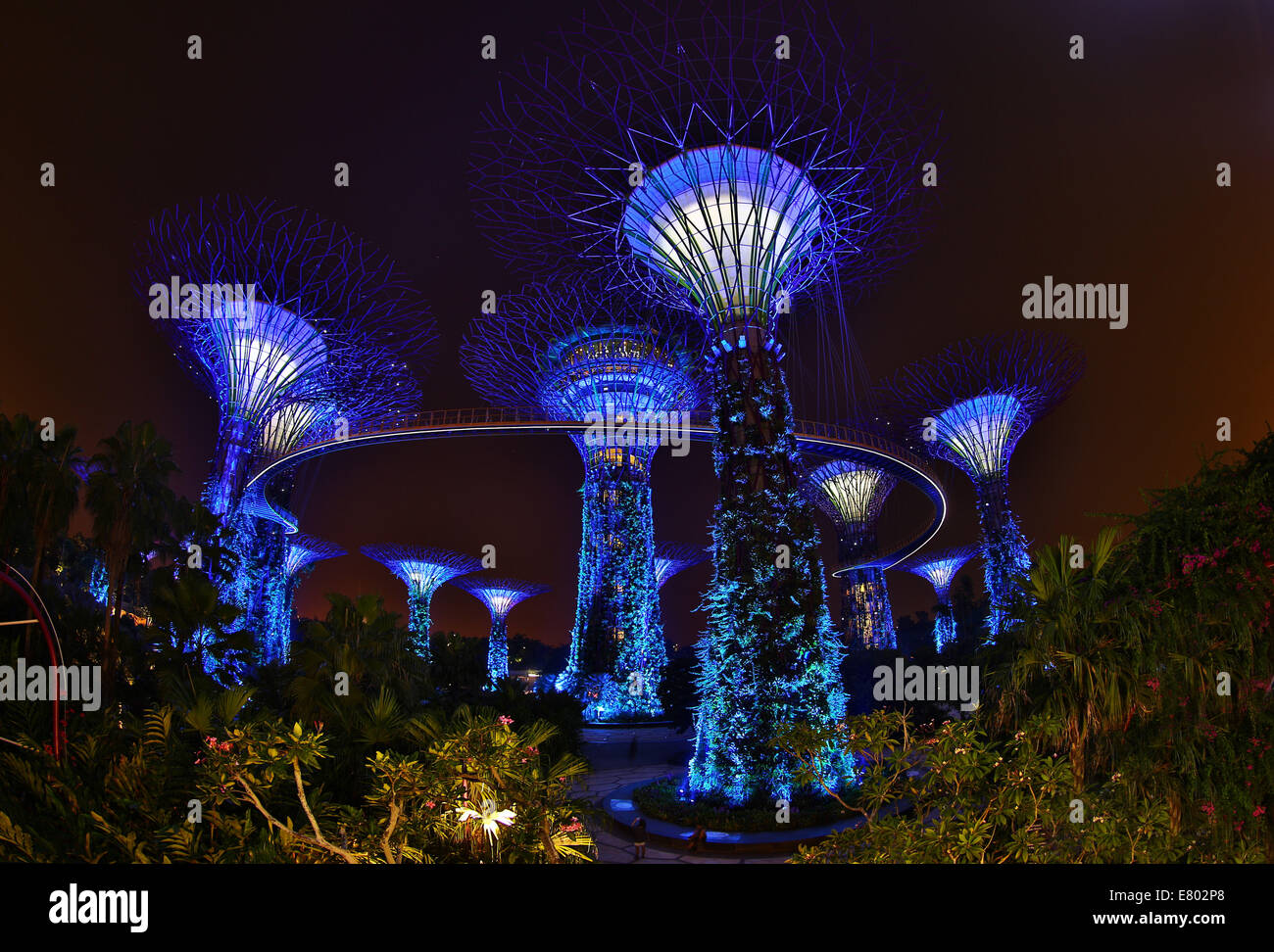 Le spie blu del futuristico Supertrees nel Supertree Grove presso i giardini dalla Baia di Singapore, Repubblica di Singapore Foto Stock