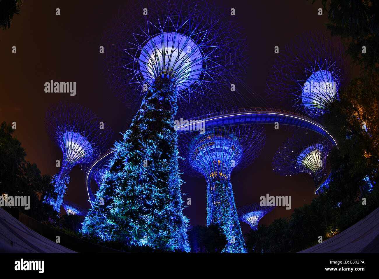 Le spie blu del futuristico Supertrees nel Supertree Grove presso i giardini dalla Baia di Singapore, Repubblica di Singapore Foto Stock