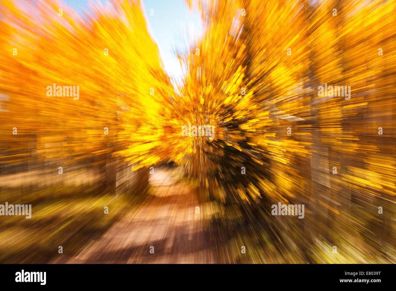 Colore di autunno esplosione Foto Stock