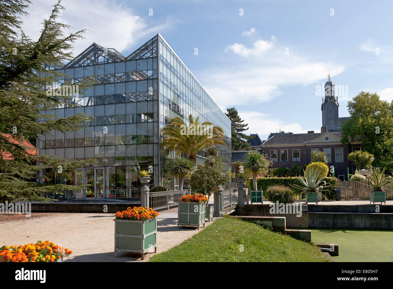 Giardino invernale nell'Hortus Botanicus con la university tower in background in Leiden, Paesi Bassi Foto Stock