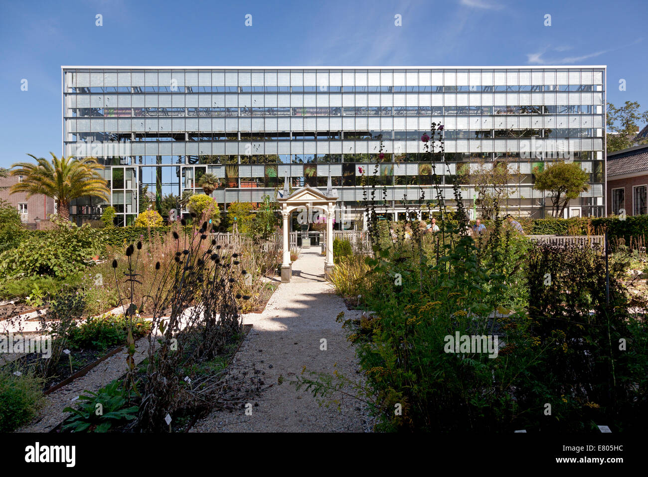 Giardino invernale nell'Hortus Botanicus visto dal giardino Clusius in Leiden, Paesi Bassi Foto Stock