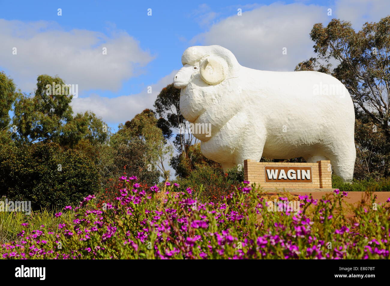 Il gigante di Ram a Wagin nel cuore della grande regione meridionale del Western Australia. Foto Stock