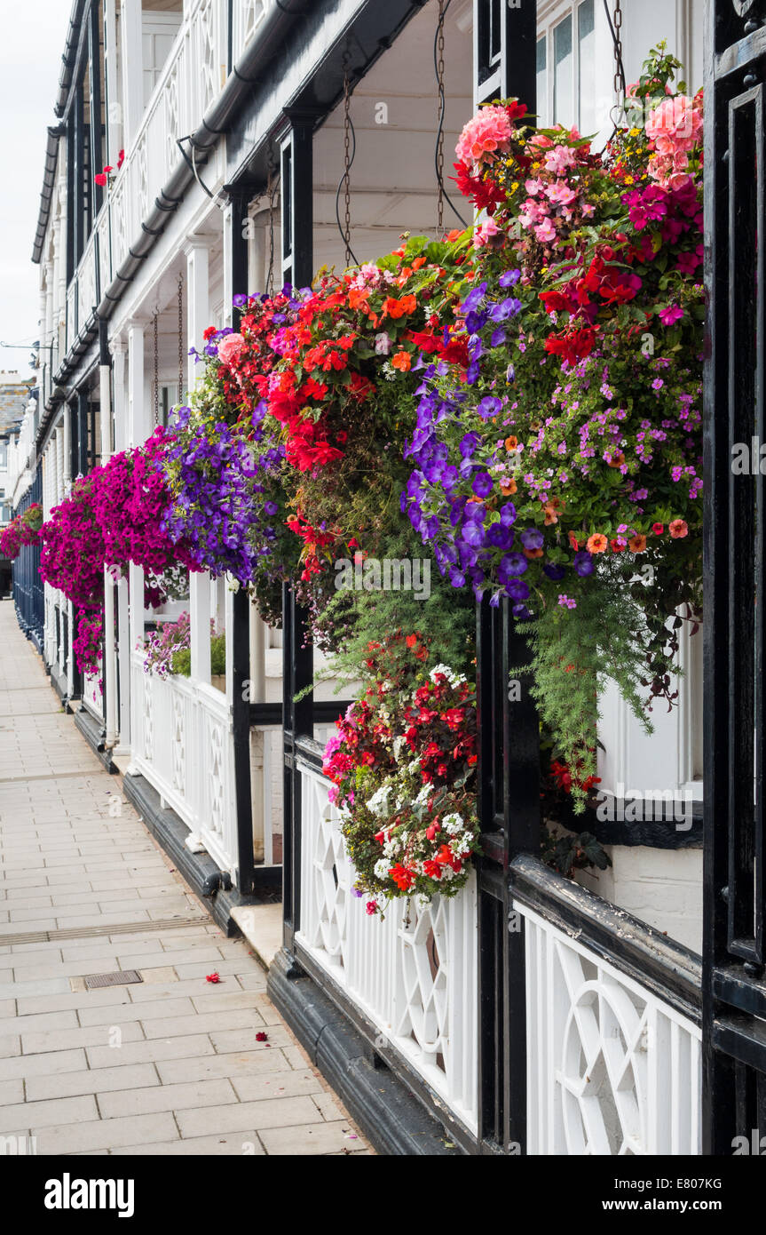 Sidmouth, Devon, Inghilterra. Nei cestini appesi della fioritura rosa e bianco nelle petunie al di fuori di un fronte mare casa in Sidmouth. Foto Stock