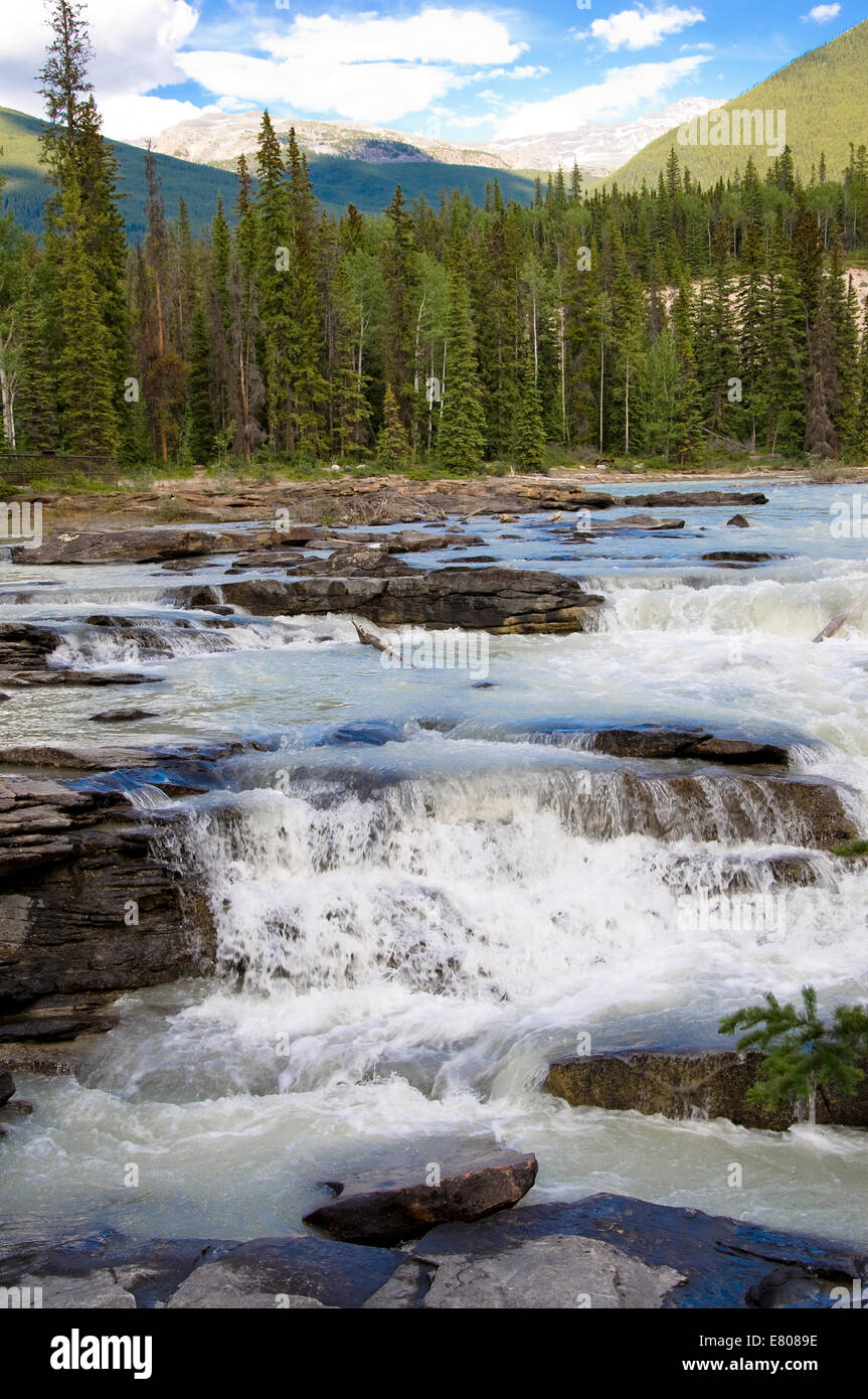 Cascate Athabasca, Icefields Parkway Jasper National Park, Alberta, Canada Foto Stock