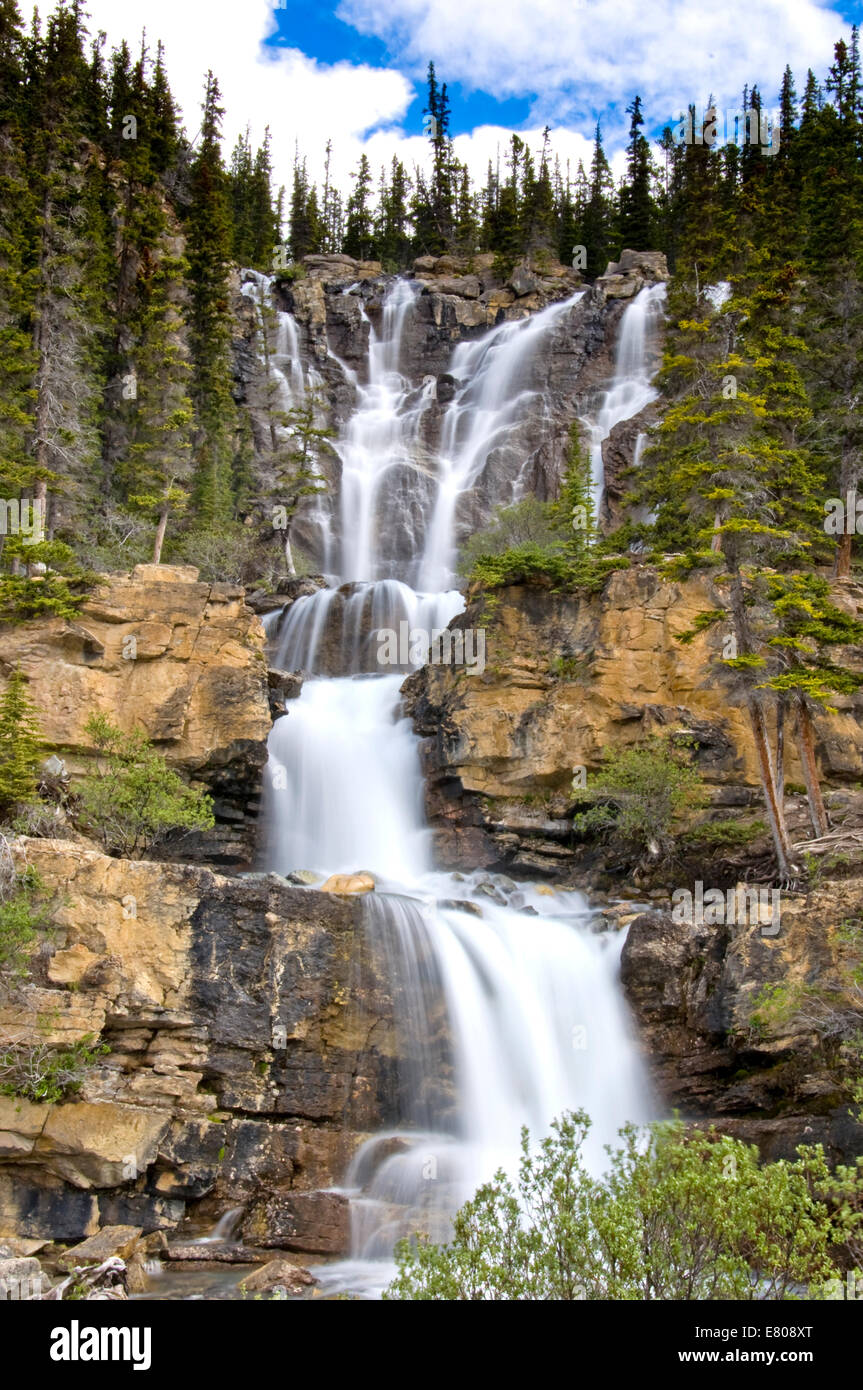 Groviglio scende, il Parco Nazionale di Jasper, Alberta, Canada Foto Stock