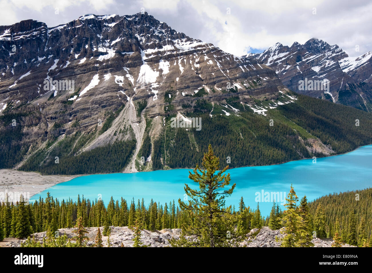 Peyto Lake, il Parco Nazionale di Banff, Alberta, Canada Foto Stock