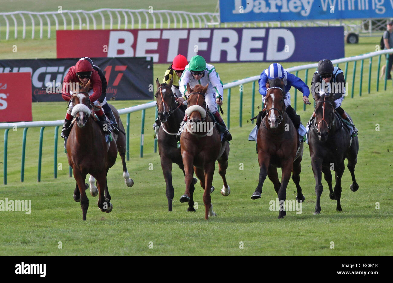 Newmarket, Regno Unito. Il 27 settembre, 2014. Betfred Cambridgeshire giorno. Elm Park sotto Andrea Atzeni vincendo il Juddmonte Royal Lodge picchetti (gruppo 2) Credito: Azione Sport Plus/Alamy Live News Foto Stock