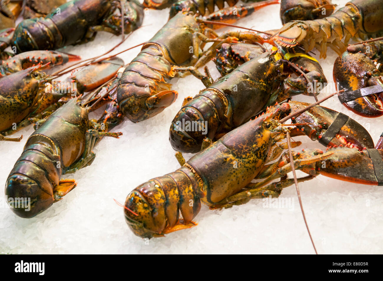 L'aragosta fresca preparata per mangiare Foto Stock