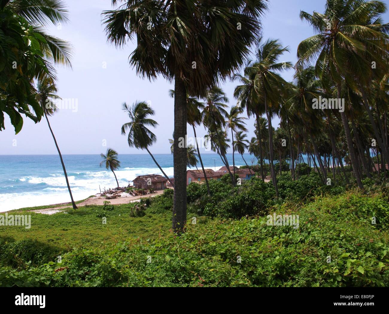 Capanne tradizionali su una spiaggia nella Repubblica Dominicana Foto Stock