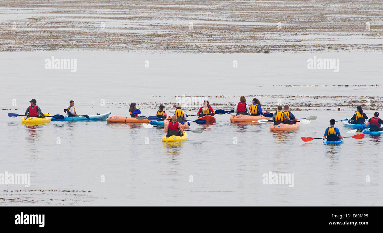 Quattordici persone in kayak giallo verde arancio sull'oceano Foto Stock